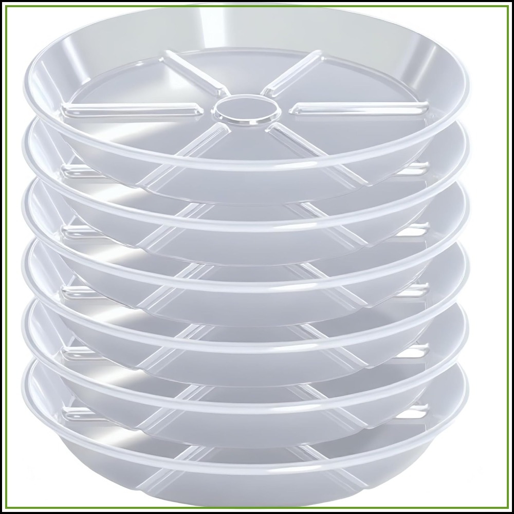 Drip Tray Saucer - 6-Pack Alas Tanaman Transparan, Nampan Penampung