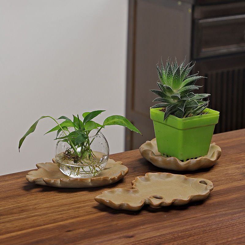 Nampan Kayu Hidroponik Brasil  - Drip Tray Saucer ulasan dan harga