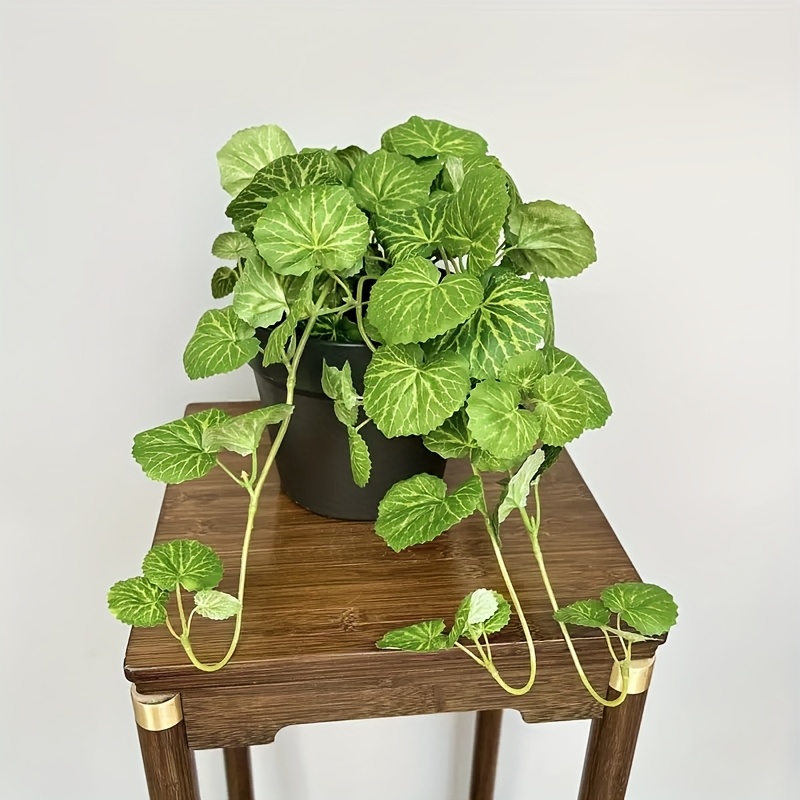 Tanaman gantung buatan, menamp - Bonsai Garden Indoor ulasan dan harga