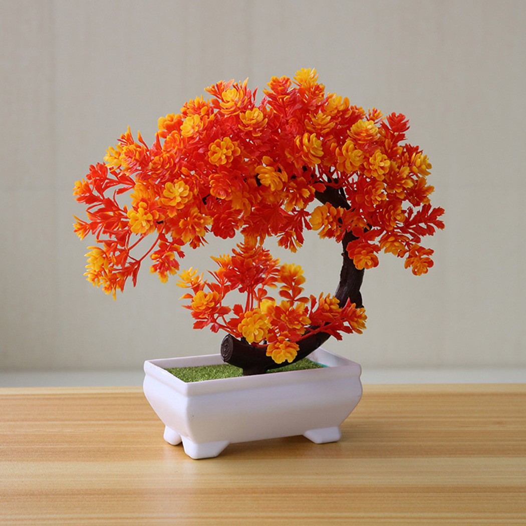Ornamen bonsai dalam pot plast - Bonsai Garden Indoor ulasan dan harga