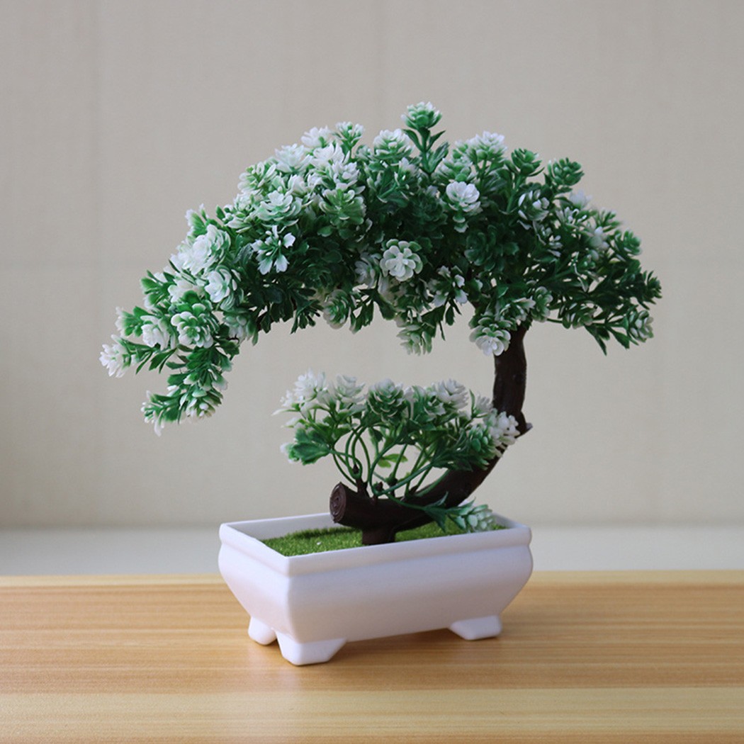 Ornamen bonsai dalam pot plast - Bonsai Garden Indoor ulasan dan harga