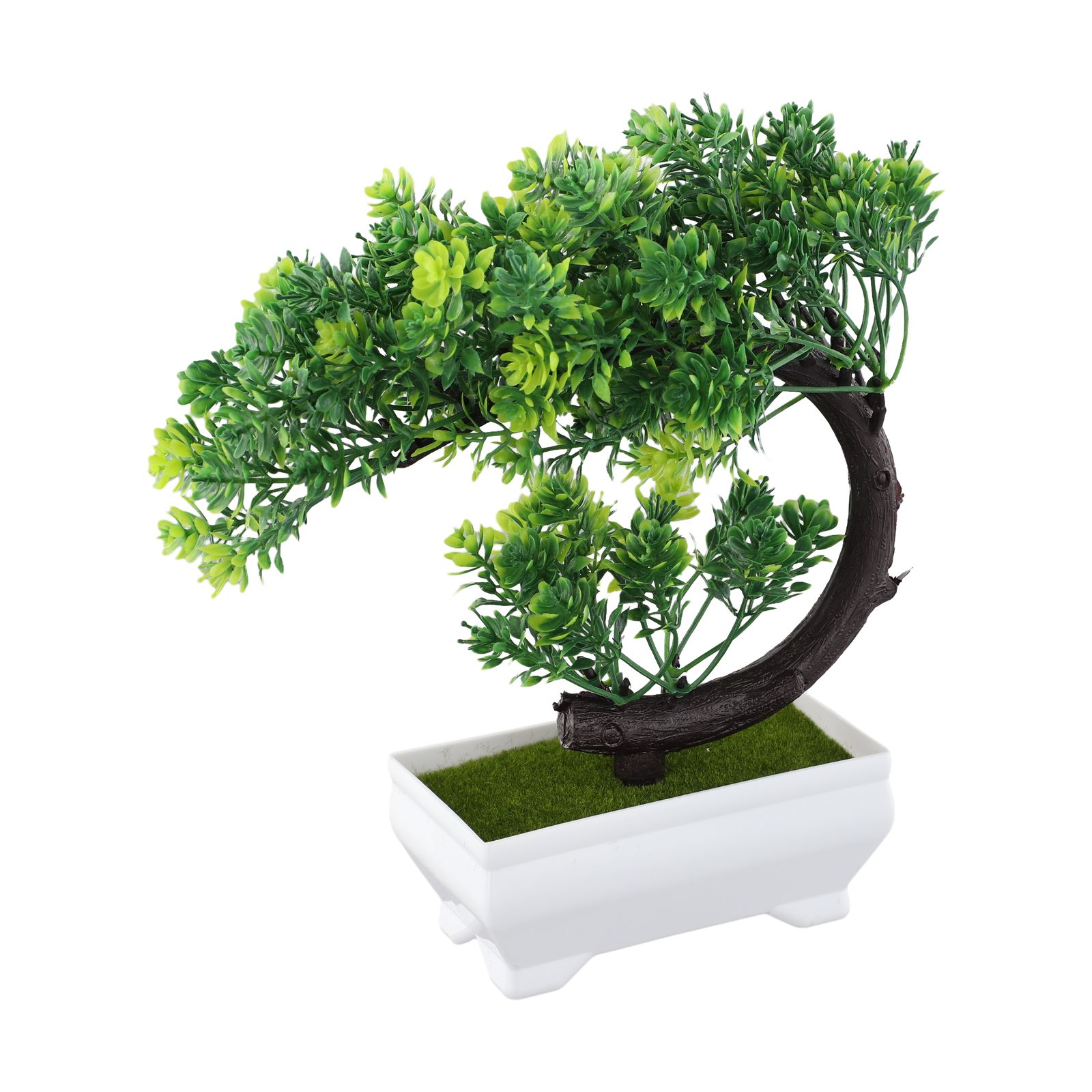 Ornamen bonsai dalam pot plast - Bonsai Garden Indoor ulasan dan harga