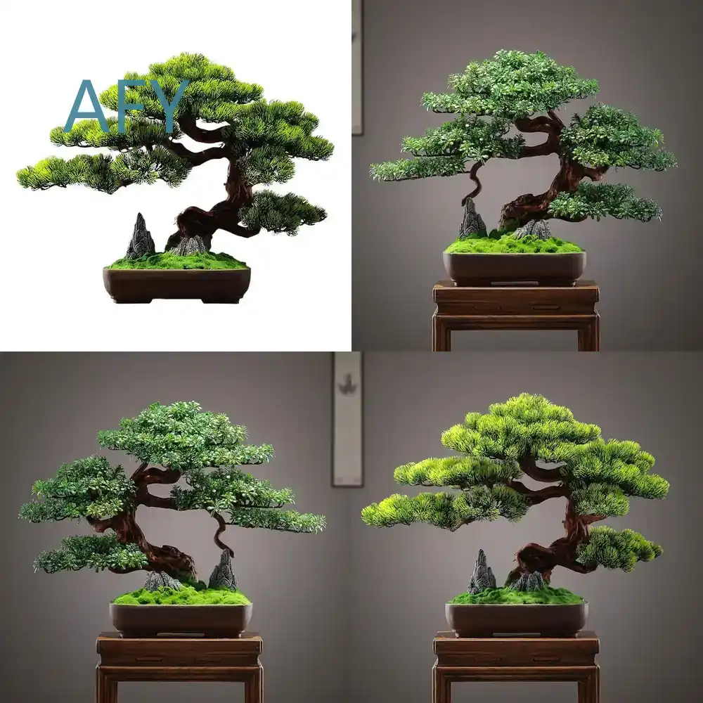Bonsai Pinus Simulasi untuk De - Bonsai Garden Entrance ulasan dan harga