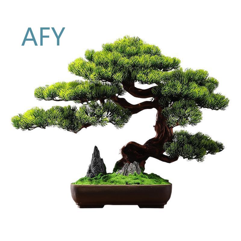 Bonsai Pinus Simulasi untuk De - Bonsai Garden Entrance ulasan dan harga