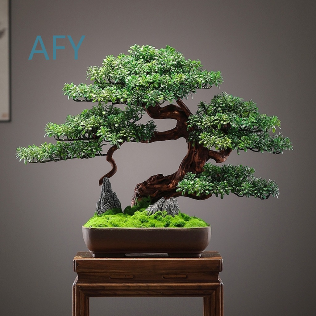 Bonsai Pinus Simulasi untuk De - Bonsai Garden Entrance ulasan dan harga