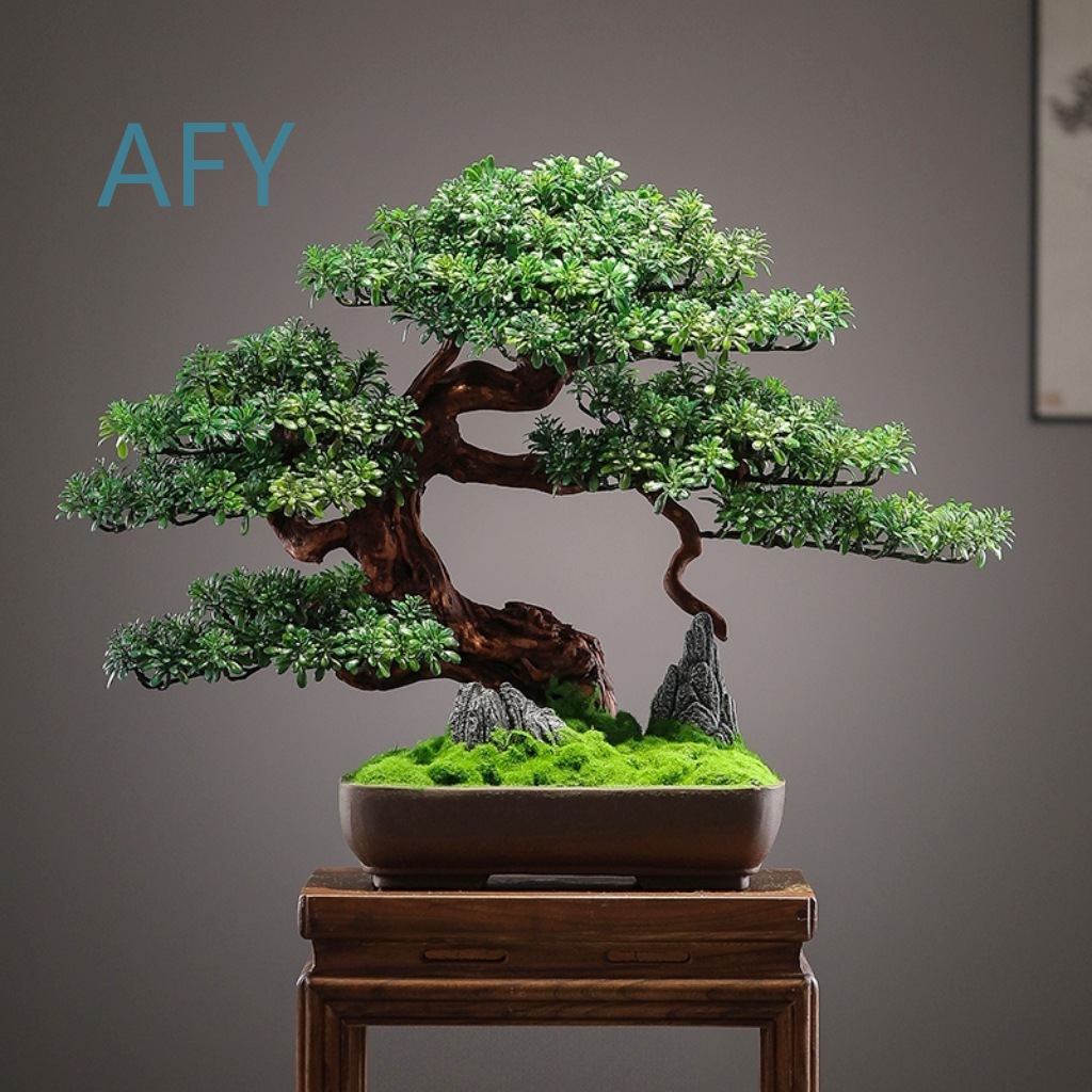 Bonsai Pinus Simulasi untuk De - Bonsai Garden Entrance ulasan dan harga