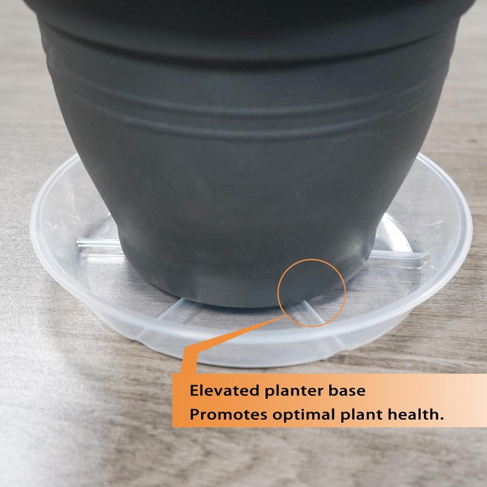 6-Pack Alas Tanaman Transparan - Drip Tray Saucer ulasan dan harga